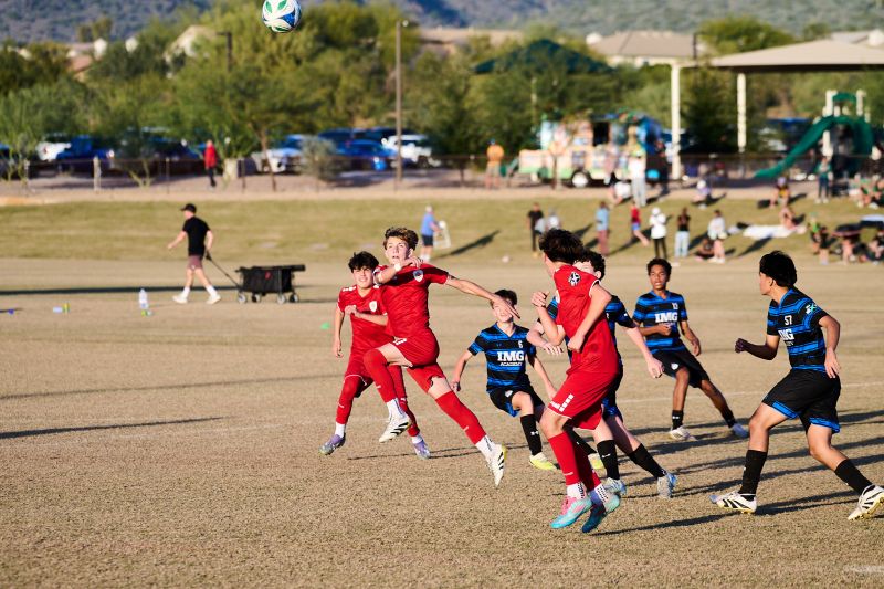 Tournament Photo 733