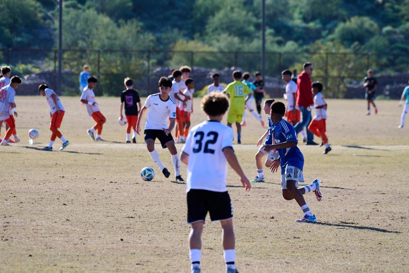 Tournament Photo 593