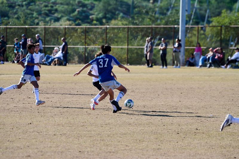 Tournament Photo 594