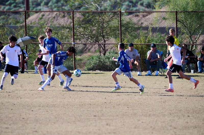 Tournament Photo 658