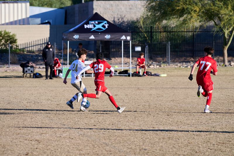 Tournament Photo 461